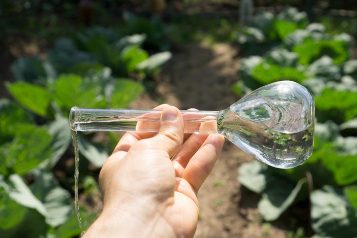 Hand mit Regenzglas das Wasser beinhaltet in der Natur, Weltwassertag