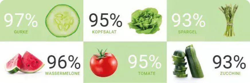 Wasserreiche Lebensmittel: Wassergehalt von Gemüse und Obst