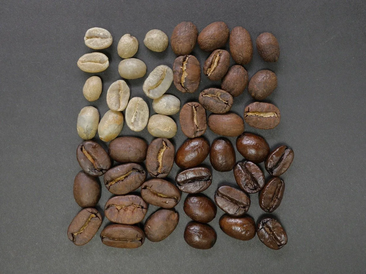 Kaffeebohnen in verschiedenen Röstgraden von hellgrün bis dunkelbraun nebeneinander angeordnet